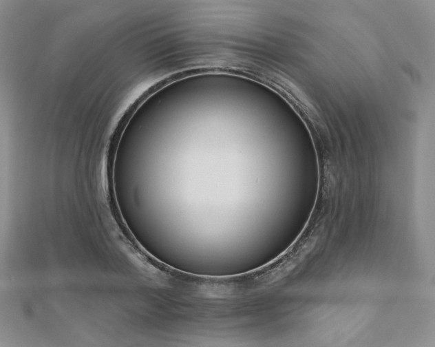 X0000110900788200906181322