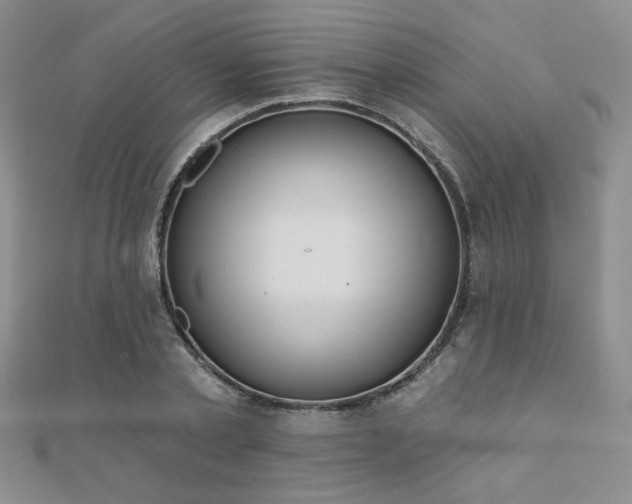 X0000110900789200906181322