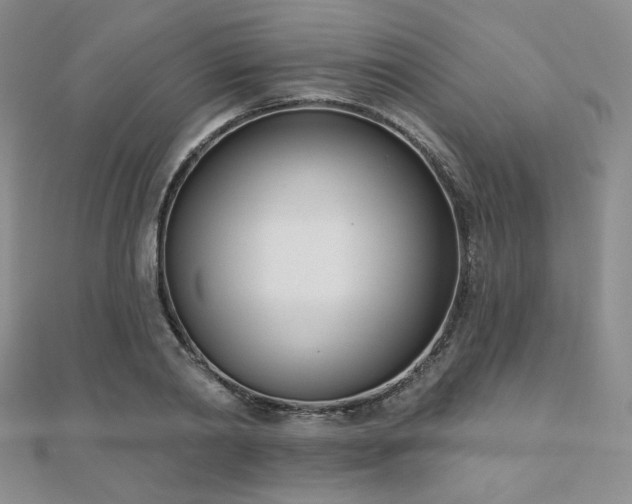 X0000110900790200906181322