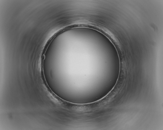 X0000110900791200906181322
