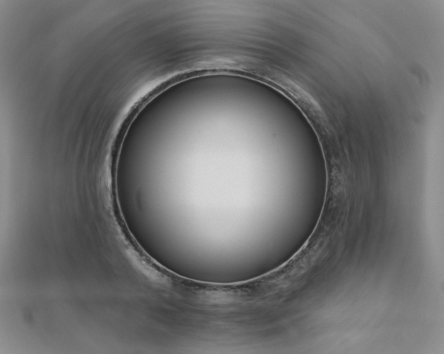 X0000110900792200906181322