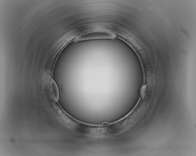 X0000110900793200906181321