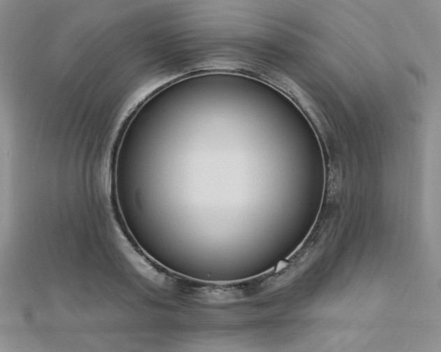 X0000110900795200906181321