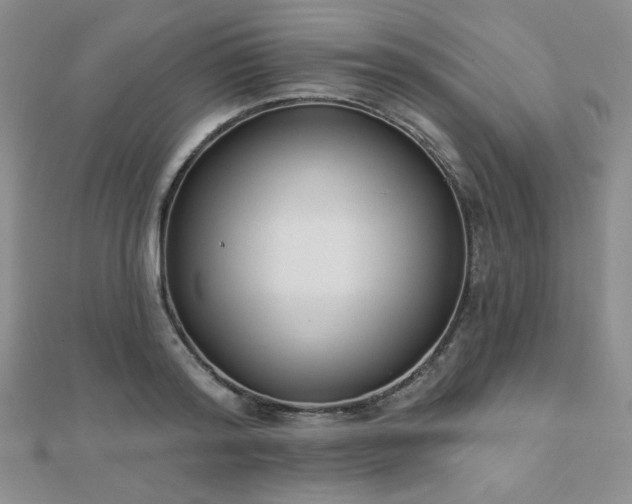 X0000110900796200906181321