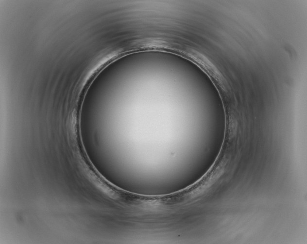 X0000110900798200906181321