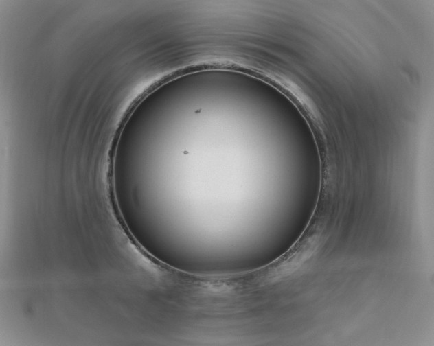 X0000110900799200906181321
