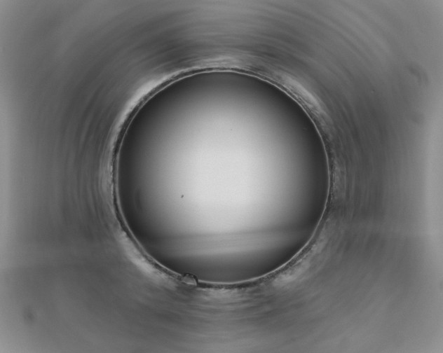X0000110900800200906181321