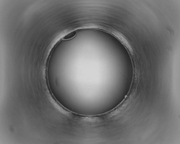 X0000110900805200906181321