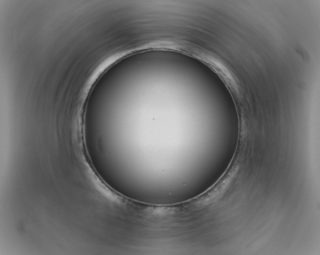 X0000110900808200906181321