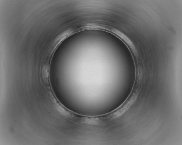 X0000110900809200906181321