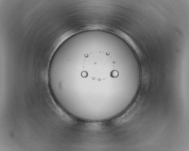 X0000110900810200906181321