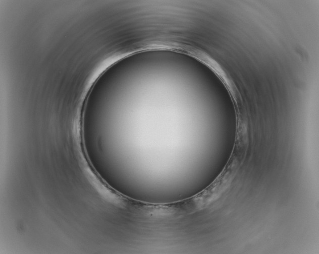 X0000110900811200906181321