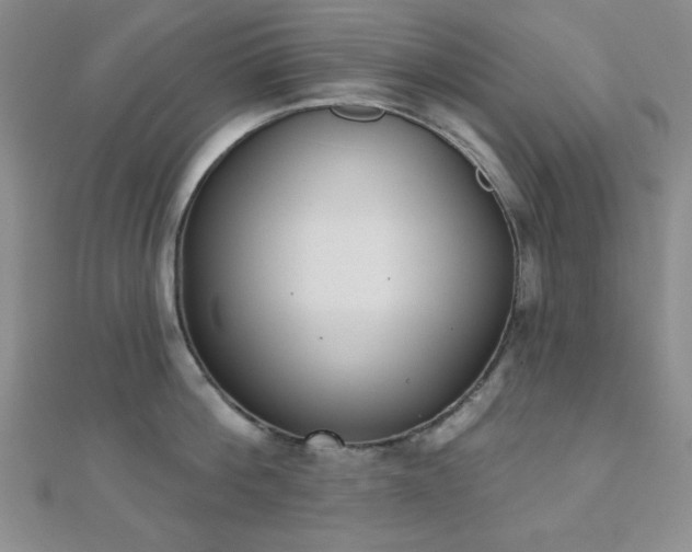 X0000110900812200906181321