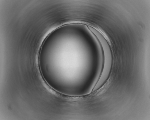 X0000110900813200906181321