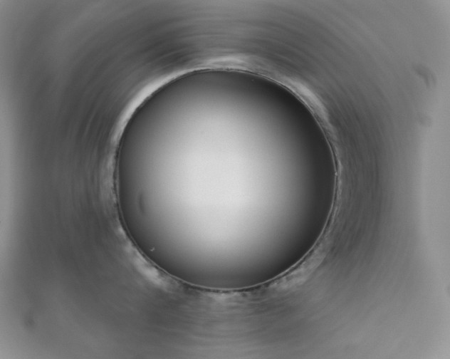 X0000110900816200906181321