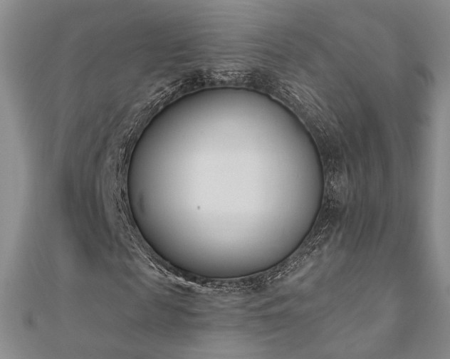 X0000110900817200906181321