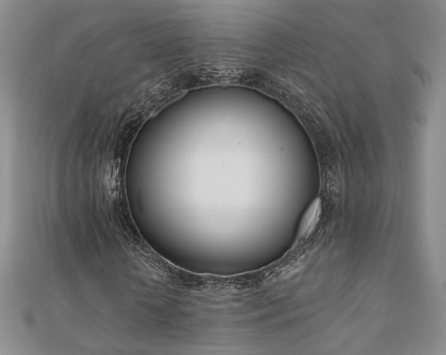 X0000110900818200906181321