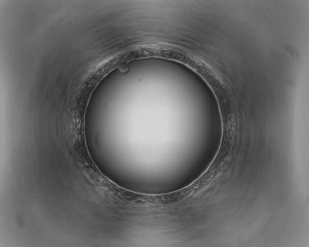 X0000110900822200906181321