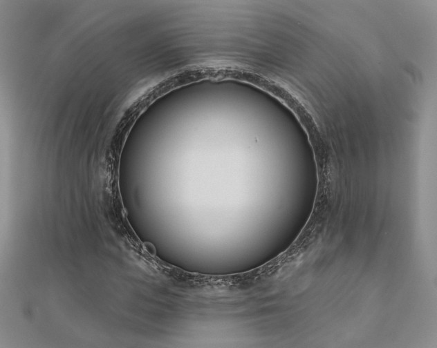 X0000110900823200906181321