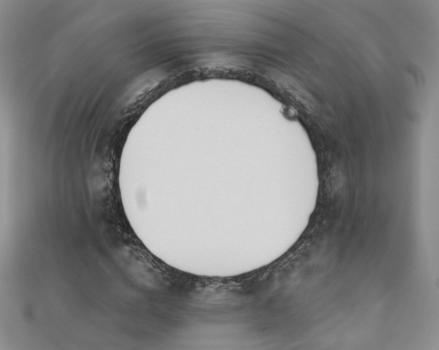 X0000110900824200906181321