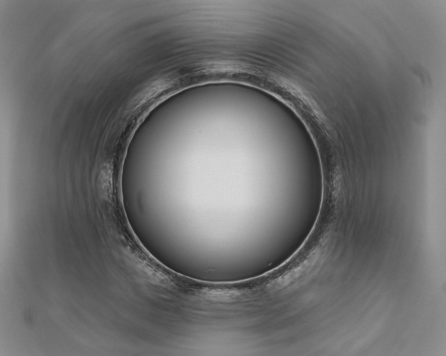 X0000110900825200906181321