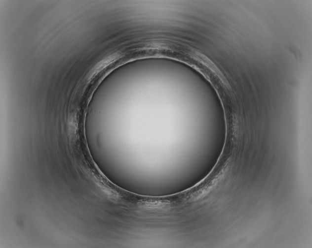 X0000110900826200906181321