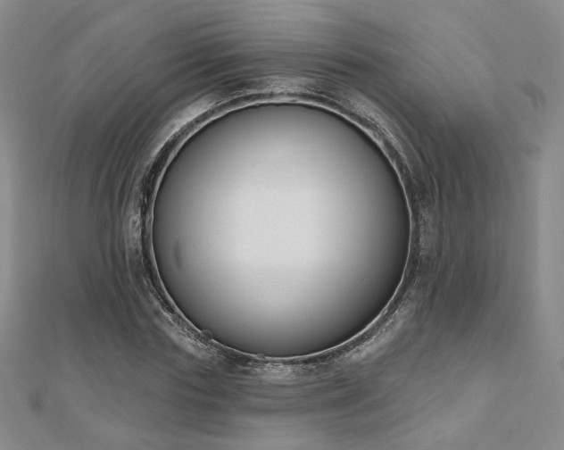 X0000110900827200906181321