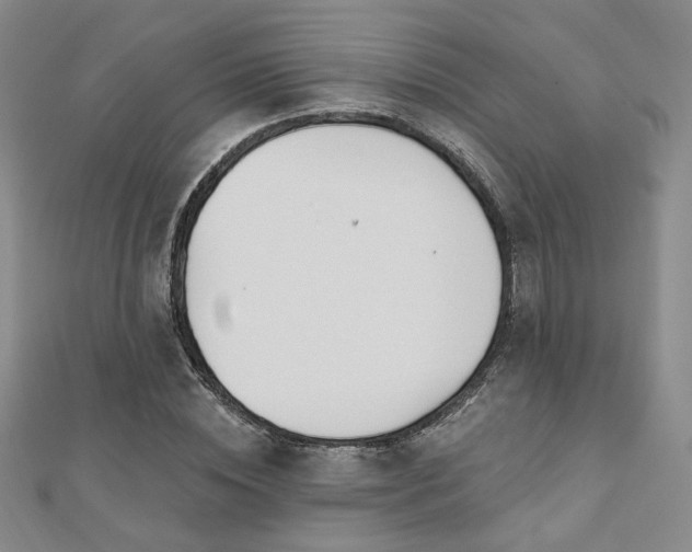X0000110900828200906181321