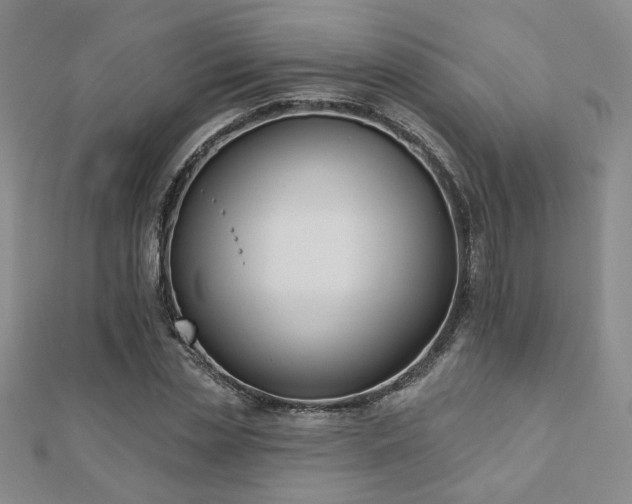 X0000110900829200906181321