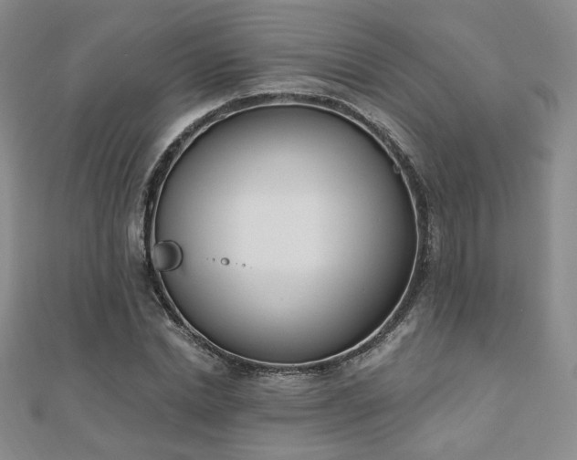 X0000110900830200906181321