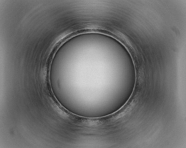 X0000110900831200906181321