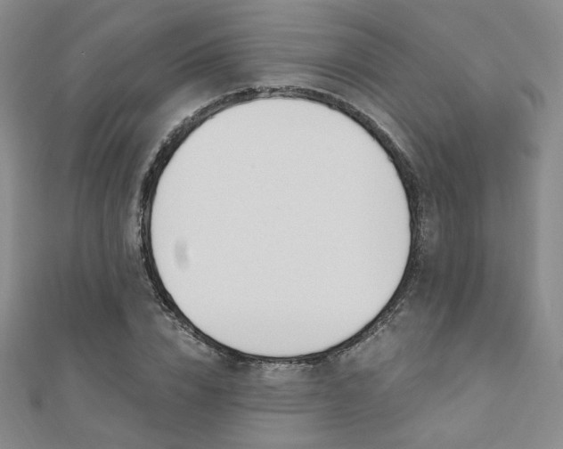 X0000110900832200906181321