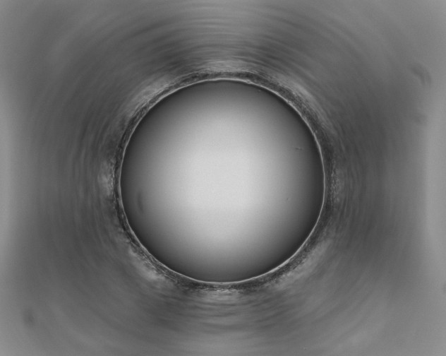 X0000110900833200906181321