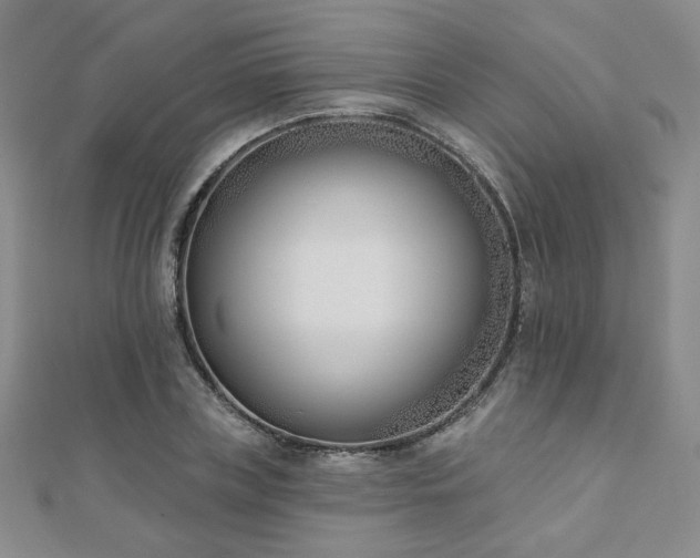 X0000110900835200906181321
