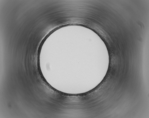 X0000110900836200906181321