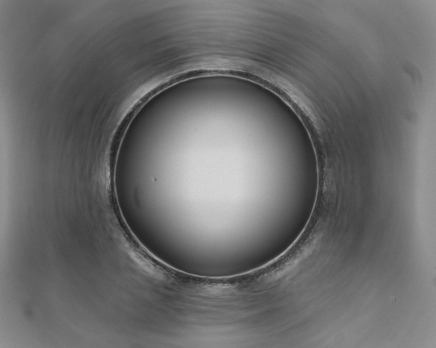X0000110900837200906181321