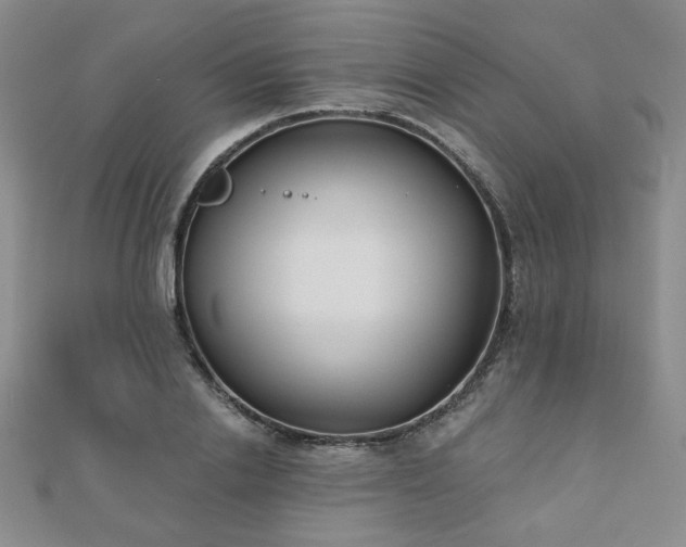 X0000110900838200906181321