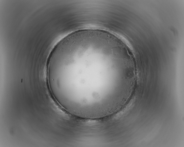 X0000110900839200906181321