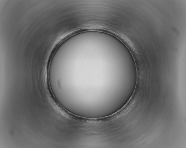 X0000110900840200906181321