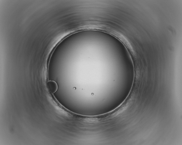 X0000110900844200906181321