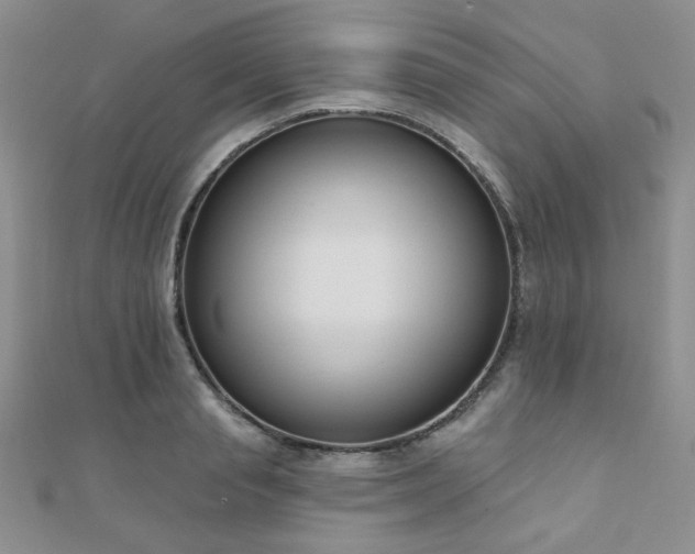 X0000110900845200906181321