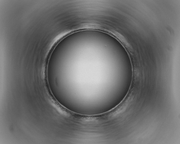 X0000110900846200906181321