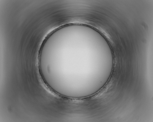 X0000110900848200906181321