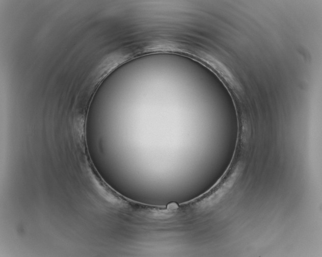 X0000110900849200906181321