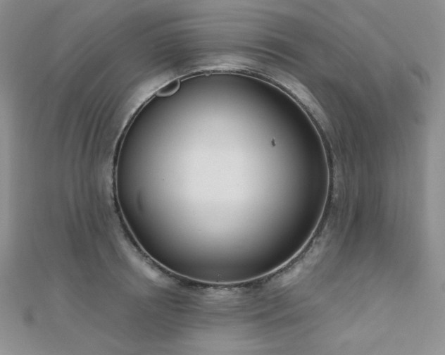 X0000110900850200906181321