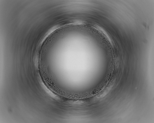 X0000110900851200906181321