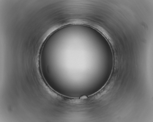 X0000110900853200906181321
