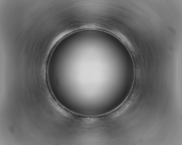 X0000110900854200906181321