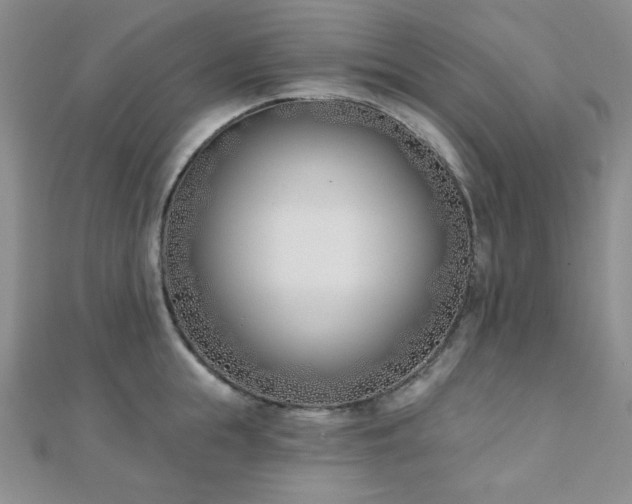 X0000110900855200906181321