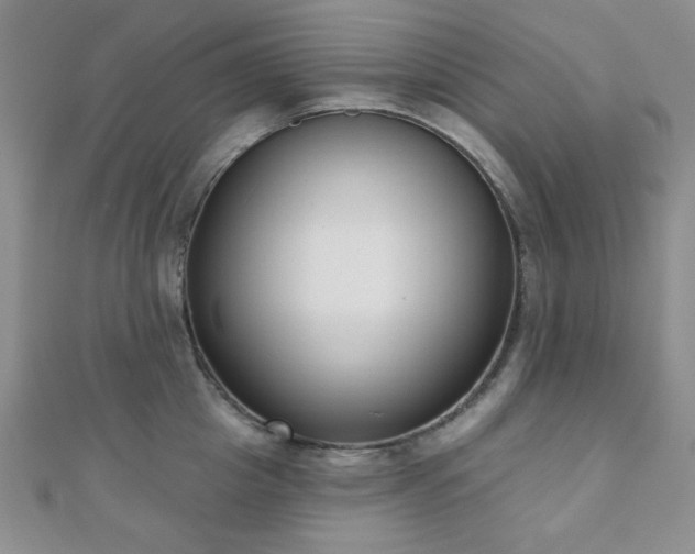 X0000110900857200906181321
